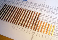 Bristol Old Station Track Construction